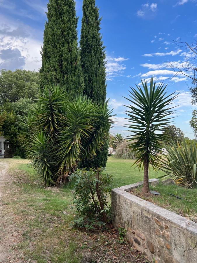 Alpilles Camargue Mas Falabrego Raphèle Esterno foto